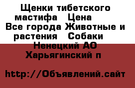 Щенки тибетского мастифа › Цена ­ 80 - Все города Животные и растения » Собаки   . Ненецкий АО,Харьягинский п.